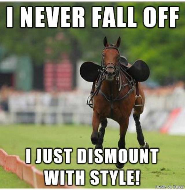 I Never Fall Of I Just Dismount In Style - Horse Meme